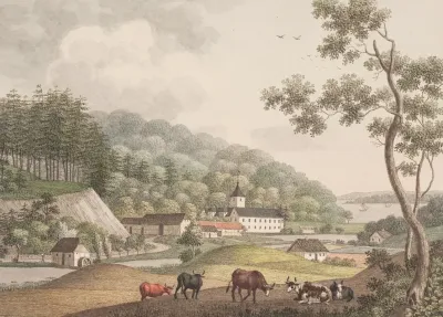 Thyrsbaek I Egnen Af Vejle