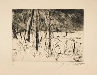 Tiergarten Im Januar