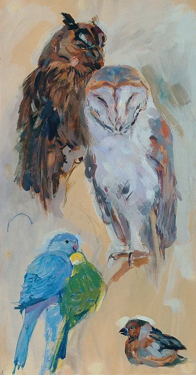 Tierstudie Aus Schonbrunn Vogel