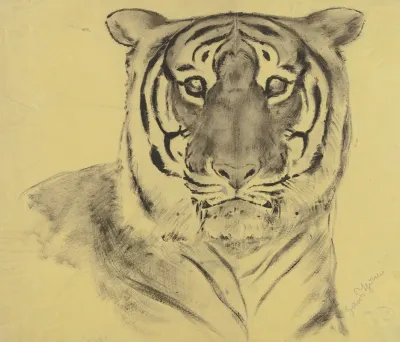 Tiger 15