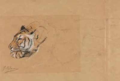 Tiger 4