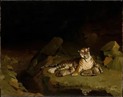 Tiger And Cubs