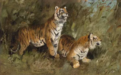 Tiger Im Hohen Gras