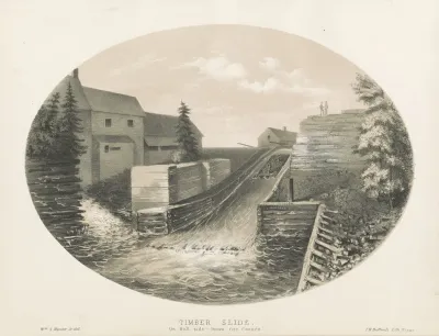 Timber Slide