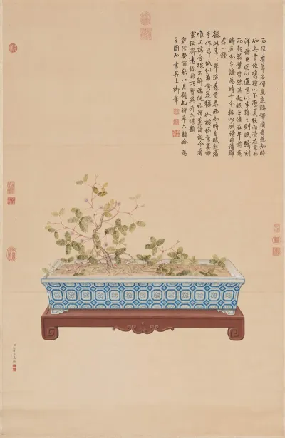 Time Telling Plant From The West