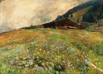 Tirol Alpenwiesen