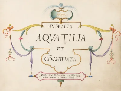 Title Page Animalia Aqvatilia Et Cochiliata Aqva