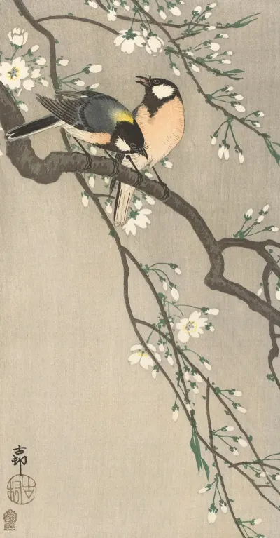 Tits On Cherry Branch