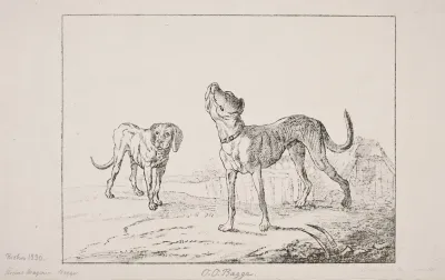 To Hunde