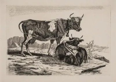 To Koer I Et Landskab