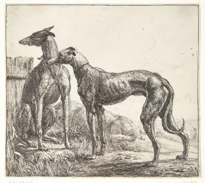 To Mynder Og En Sovende Hund