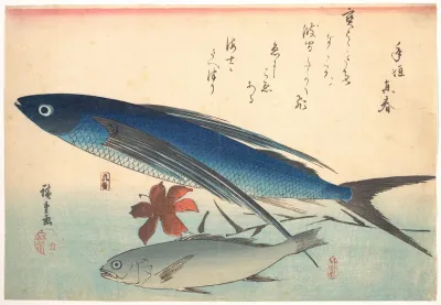Tobiuo And Ishimochi Fish