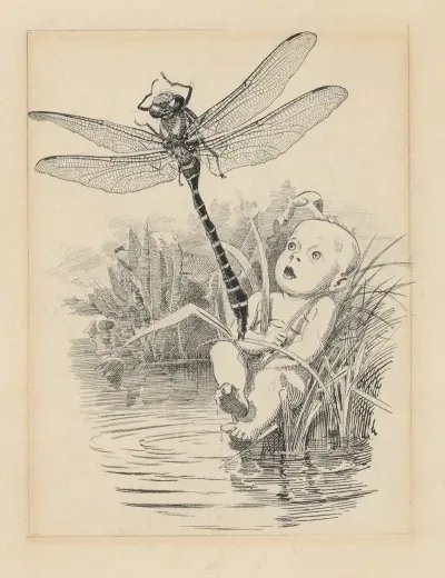 Tom And Dragonfly
