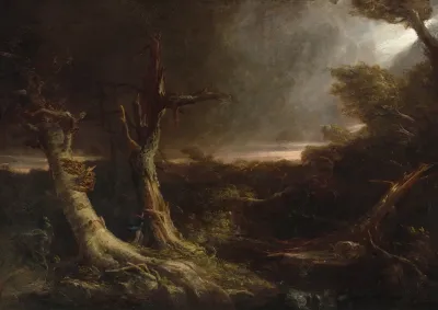 Tornado In An American Forest