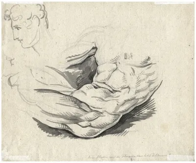 Torso 3