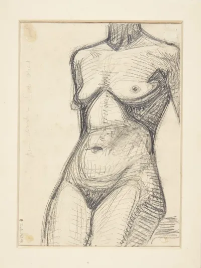 Torso Af Kvindelige Model