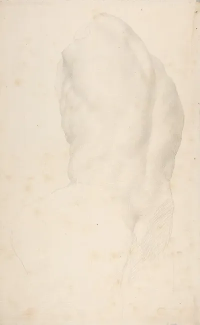 Torso Of The Belvedere 2