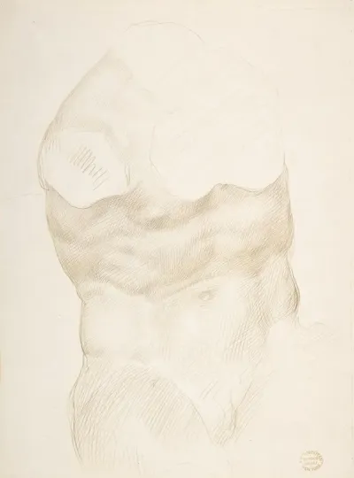 Torso Of The Belvedere
