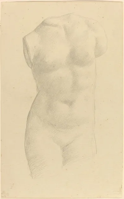 Torso
