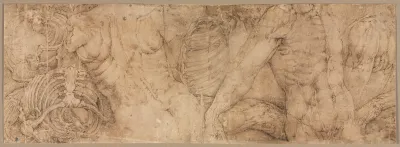 Torsos With Rib Cages