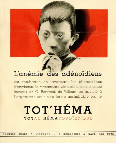 Tothamelis 13