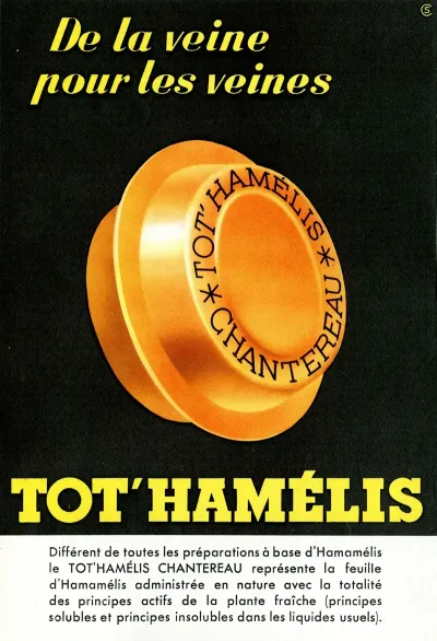 Tothamelis 2