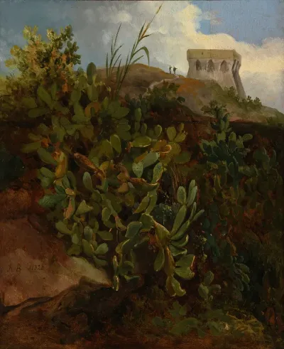 Tour Et Cactus