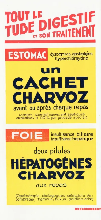 Tout Le Tube Digestif Et Son Traitement 2