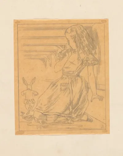 Tracing Of The Rabbit Scurried