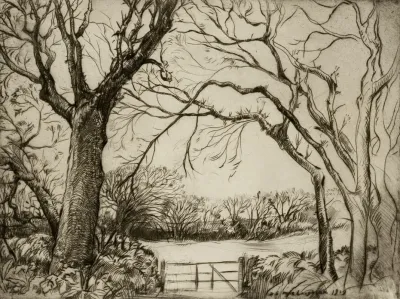 Tragenna Wood