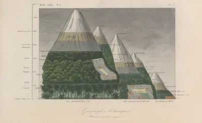 Traite De Botanique Generale Pl 007