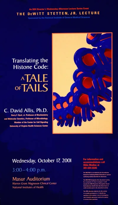 Translating The Code A Tale Of Tails