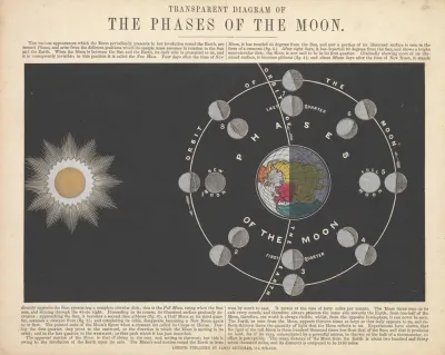 Transparent Diagram Of The Phases Of The Moon
