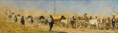 Transportation Of The Wounded