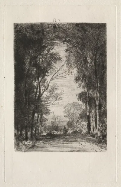 Traveler On A Road In A Forest
