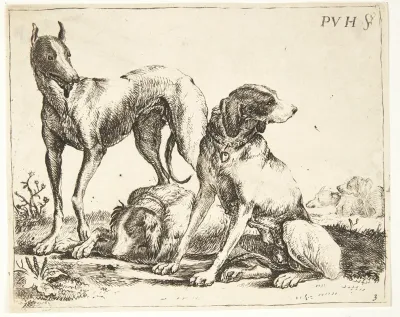 Tre Hunde 2