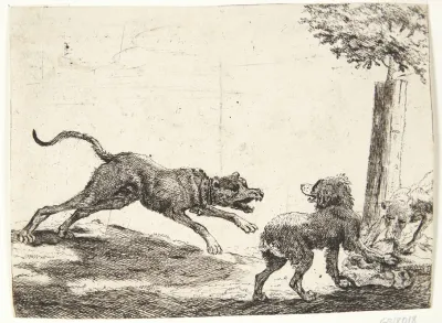 Tre Hunde Med Et Adsel