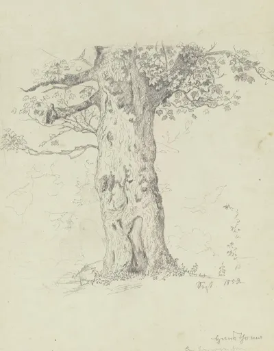 Tree 14