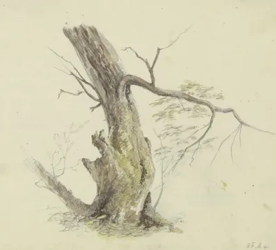 Tree 15