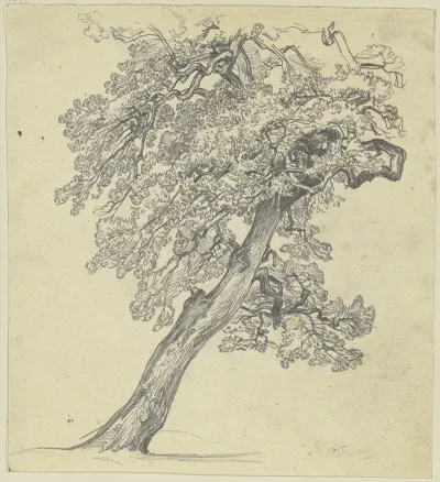 Tree 19