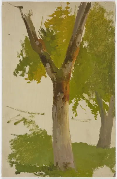 Tree 27