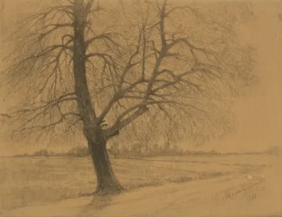 Tree 2