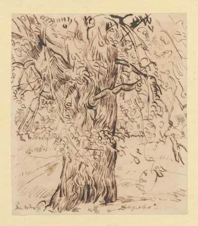Tree 6