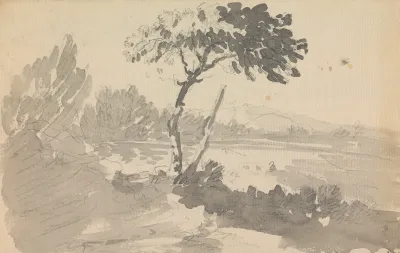 Tree And Lake