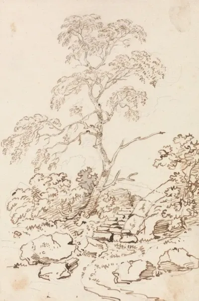 Tree By Steps