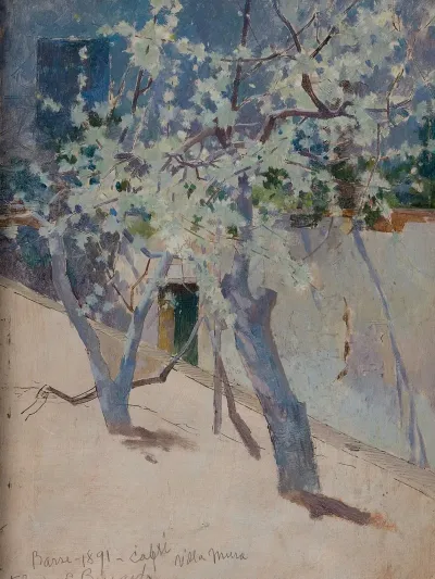Tree Capri