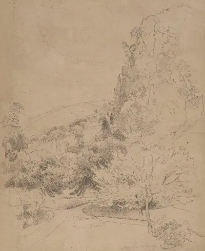 Tree Covered Slopes