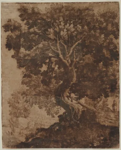 Tree In A Landscape 2