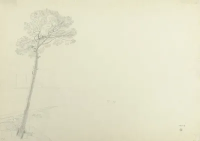 Tree In A Landscape