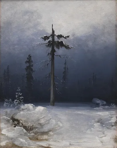 Tree In A Wintry Forest